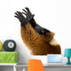 Red Ruffed Lemur Wall Decal