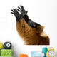Red Ruffed Lemur Wall Decal
