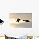 Graylag Geese in Flight Wall Mural