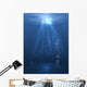 Underwater Light Wall Mural