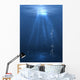 Underwater Light Wall Mural