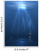 Underwater Light Wall Mural
