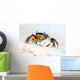 Crab on the Sand Wall Mural