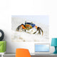 Crab on the Sand Wall Mural