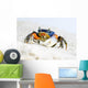 Crab on the Sand Wall Mural