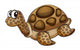 tortoise Wall Decal