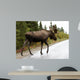 Bull Moose Alaska