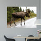 Bull Moose Alaska
