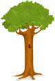 Summer or Spring Tree