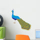 Bird Decals - An illustration of a peacock with long tail Wall Decal
