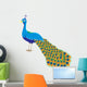 Bird Decals - An illustration of a peacock with long tail Wall Decal