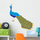Bird Decals - An illustration of a peacock with long tail Wall Decal