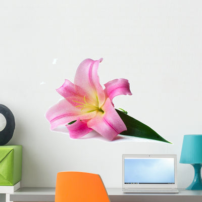 Wet Pink Lily Wall Decal shown on a wall