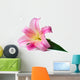 Wet Pink Lily Wall Decal