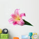 Wet Pink Lily Wall Decal