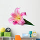 Wet Pink Lily Wall Decal