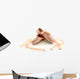 Ballet Pointe Shoes Wall Decal