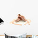 Ballet Pointe Shoes Wall Decal