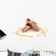 Ballet Pointe Shoes Wall Decal