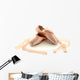 Ballet Pointe Shoes Wall Decal