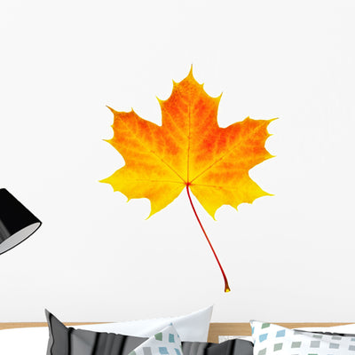 Discolored Autumn Leaf shown on a wall