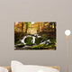 Waterfall Forest