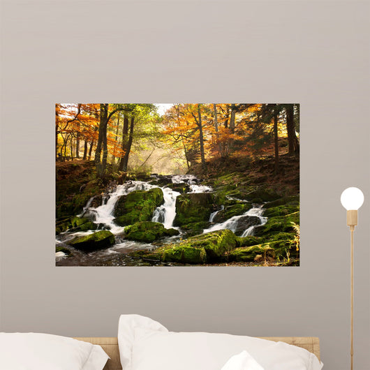Waterfall Forest