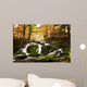 Waterfall Forest