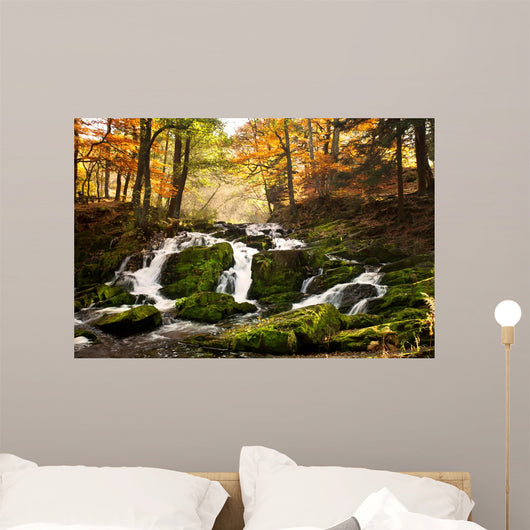 Waterfall Forest