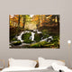 Waterfall Forest