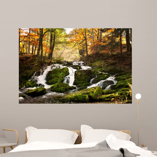 Waterfall Forest