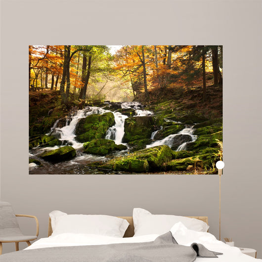 Waterfall Forest