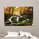 Waterfall Forest