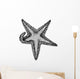 Sea Star