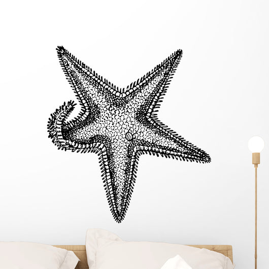 Sea Star
