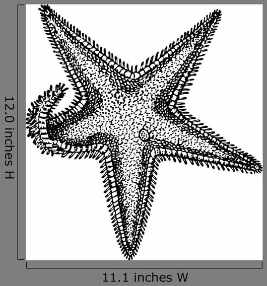 Sea Star