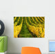 Vineyard Autumn