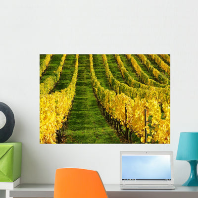 Vineyard Autumn shown on a wall