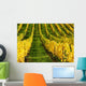 Vineyard Autumn