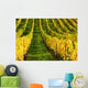Vineyard Autumn