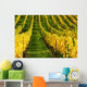 Vineyard Autumn