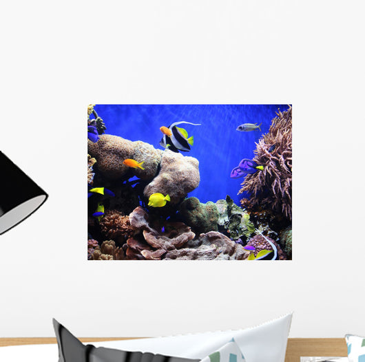 Tropical Fish Wall Mural
