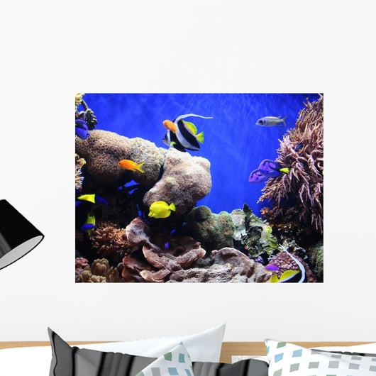 Tropical Fish Wall Mural