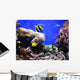Tropical Fish Wall Mural