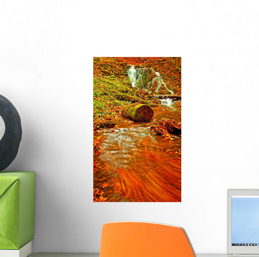 Nice Waterfall in the Forest Wall Mural