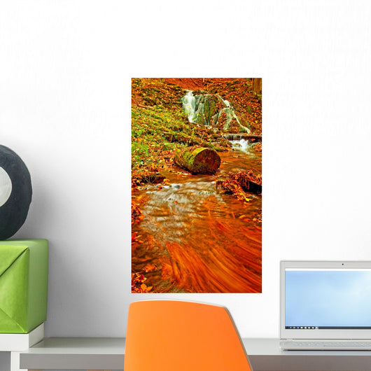 Nice Waterfall in the Forest Wall Mural