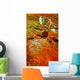 Nice Waterfall in the Forest Wall Mural