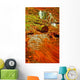 Nice Waterfall in the Forest Wall Mural