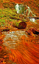 Nice Waterfall in the Forest Wall Mural