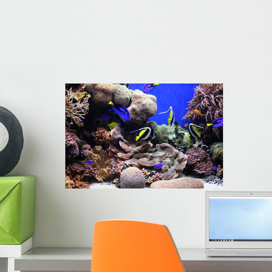 Traopical Fish Wall Mural